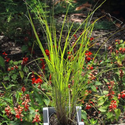 7895ca412a1c37e1ff3da5cc76e80204