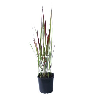 fddc76221fdd7d3b16529ac0505fdc4a