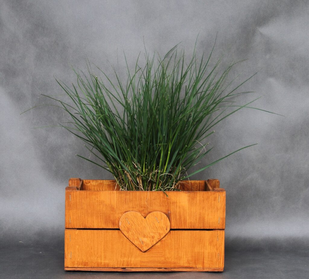 e6dc116cc49229c0eb90b026b3d4f85a