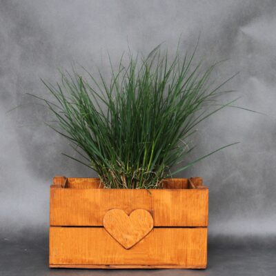 e6dc116cc49229c0eb90b026b3d4f85a