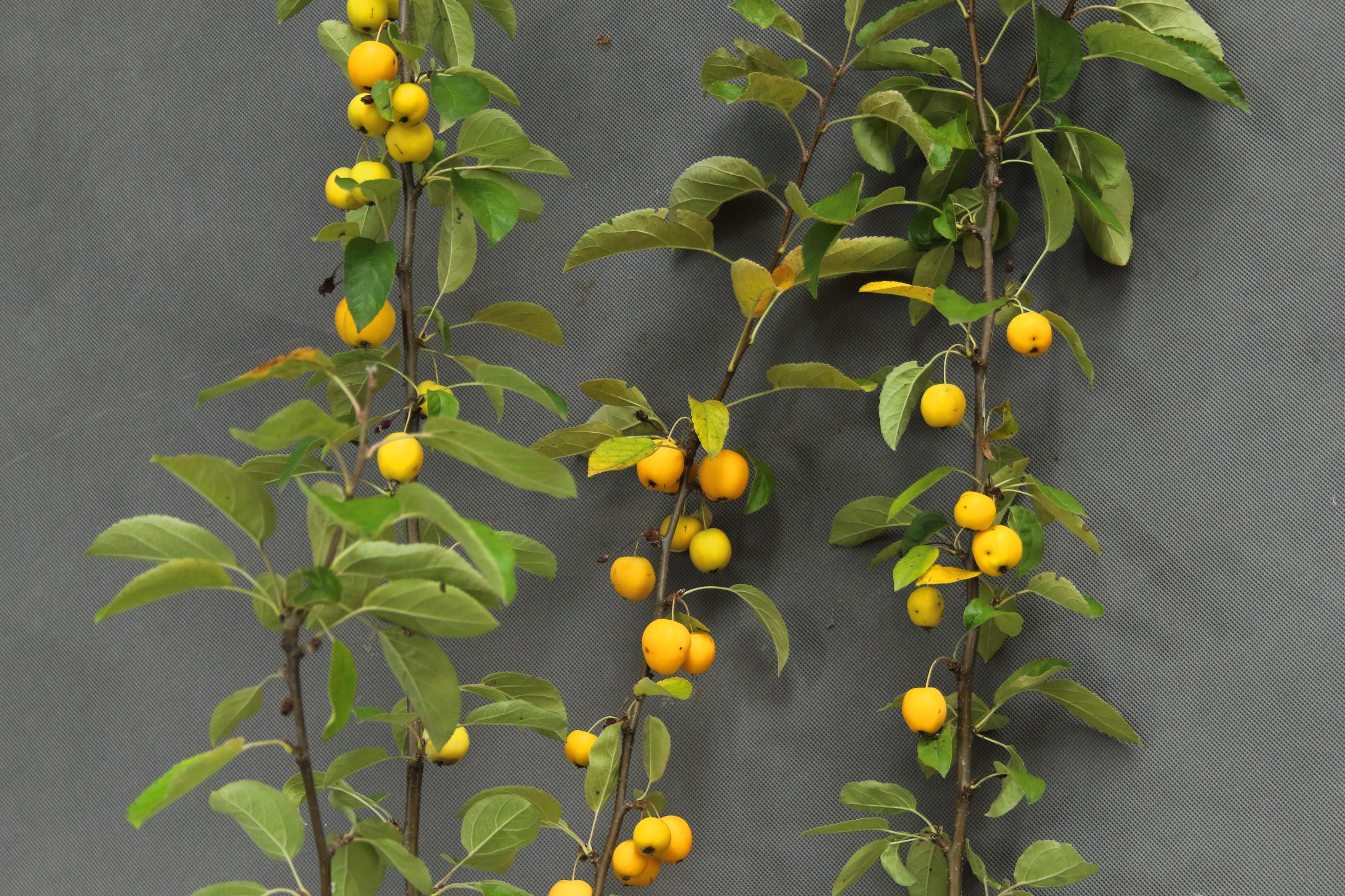 c48fd83d3137bab8095e8920f7230d75