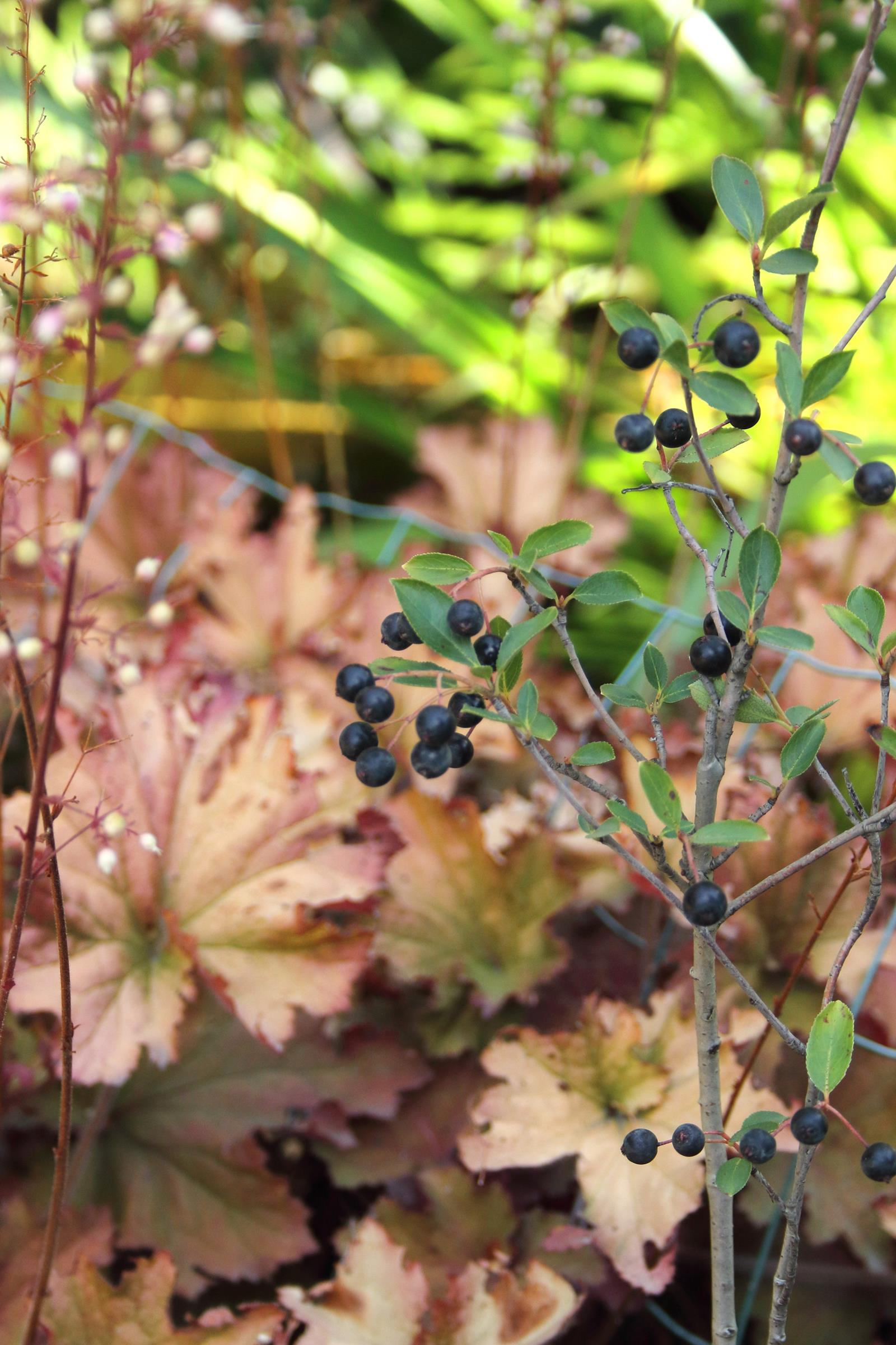 02555778d63427c9fbde72f0f1e0f321