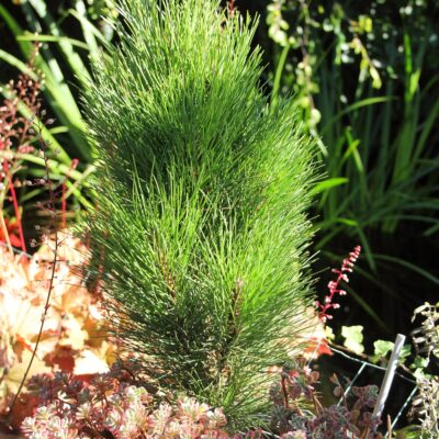 789d92c765f9cf45f227366c5d09d80b