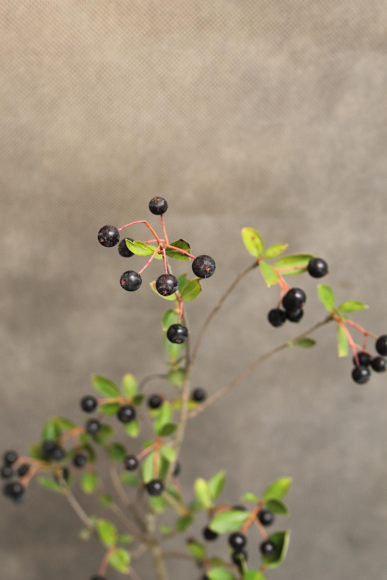 c4e08895e24bb0b7d4cf206d015b1c0e