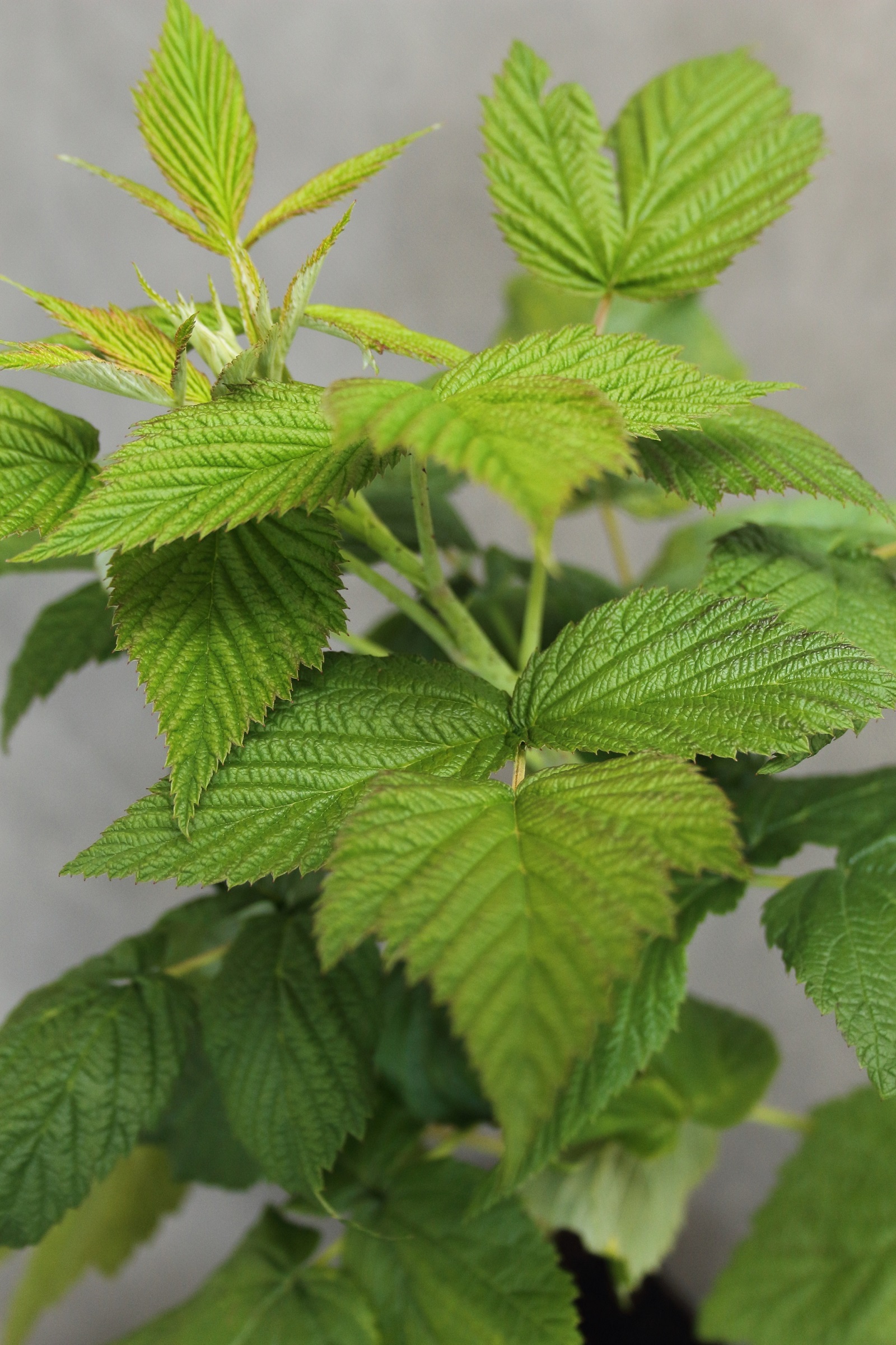 7ea97a7f94c25ab0439184d9f7e8f052