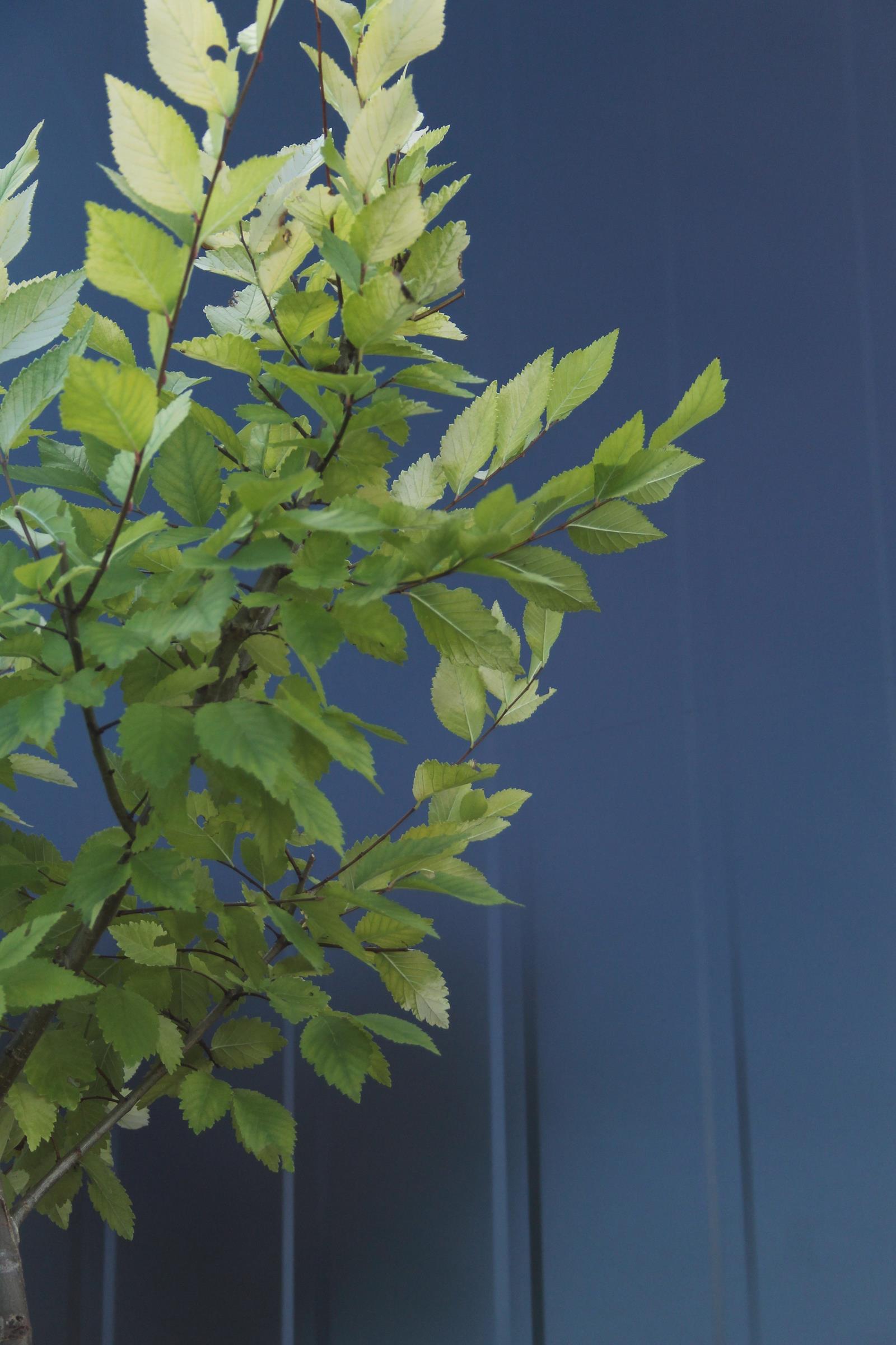 d6138e603dc73f585cd1a3e1cf0b57ab