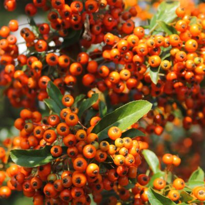 dfbb9318f5ce7435f3b4b5589a647460