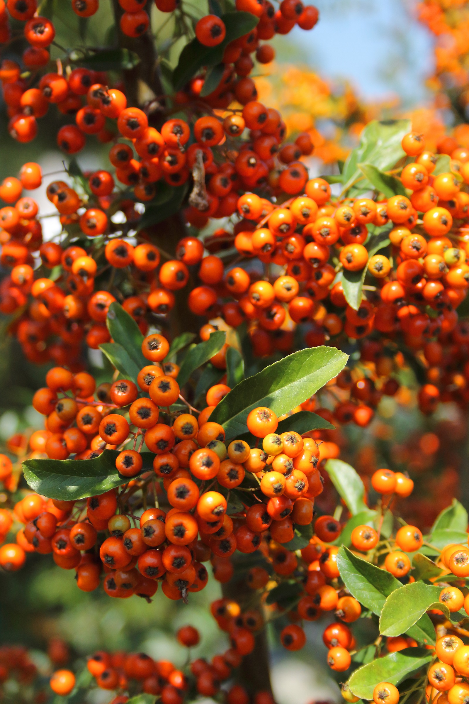 dfbb9318f5ce7435f3b4b5589a647460