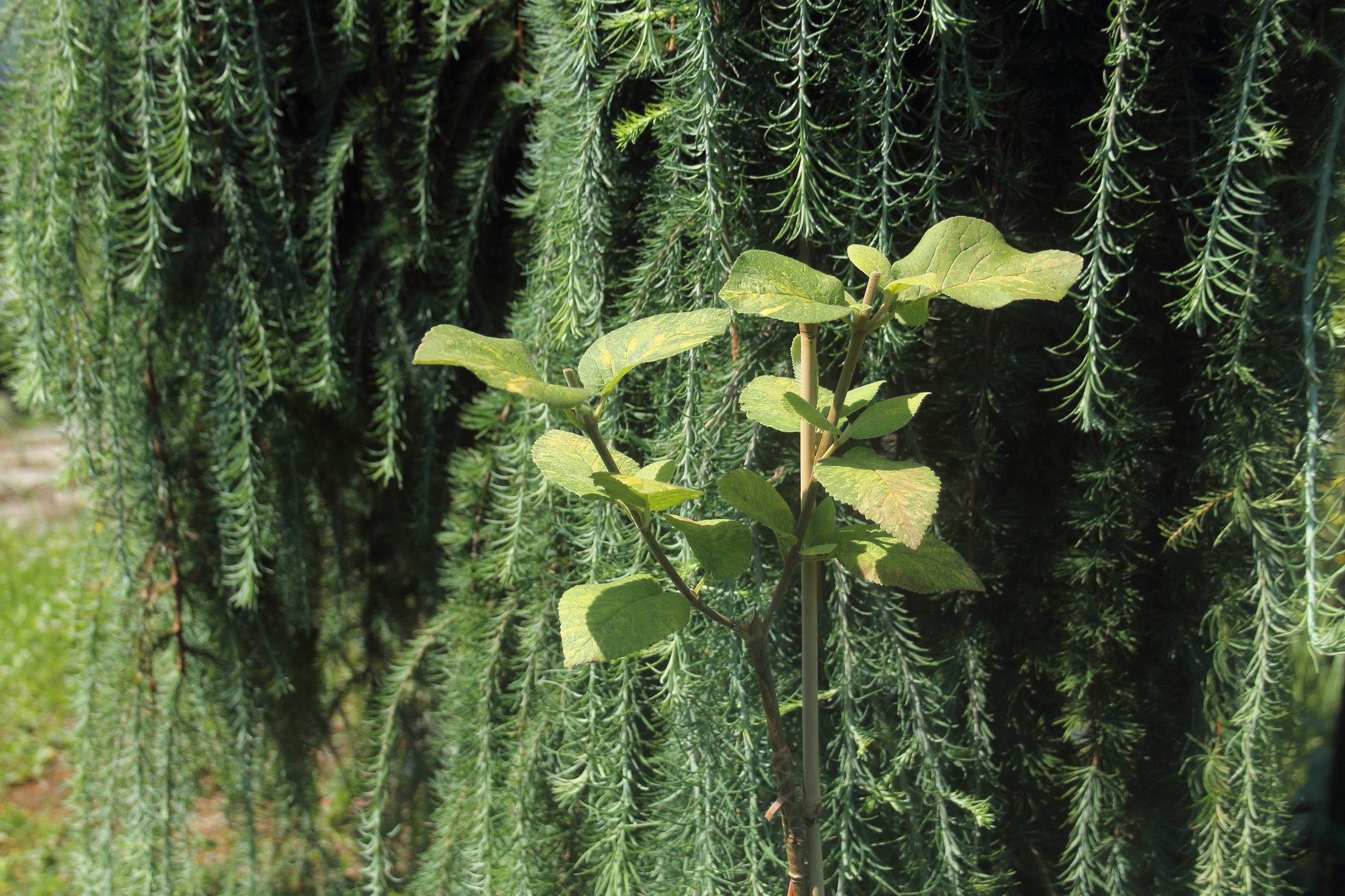 73096b3a71deee85a43762b50a3a88ee