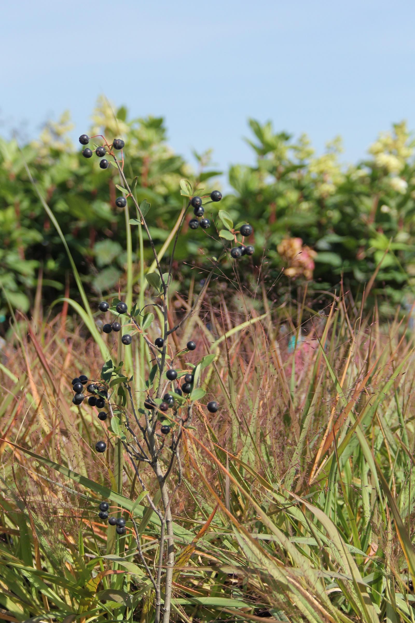 9c5340e72f6c323e53c1fdfc8a68b2bf