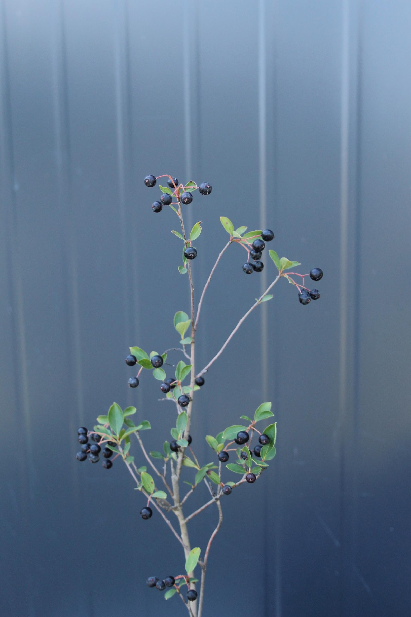 168d9d14e95acbfba13a868ce129f2d4