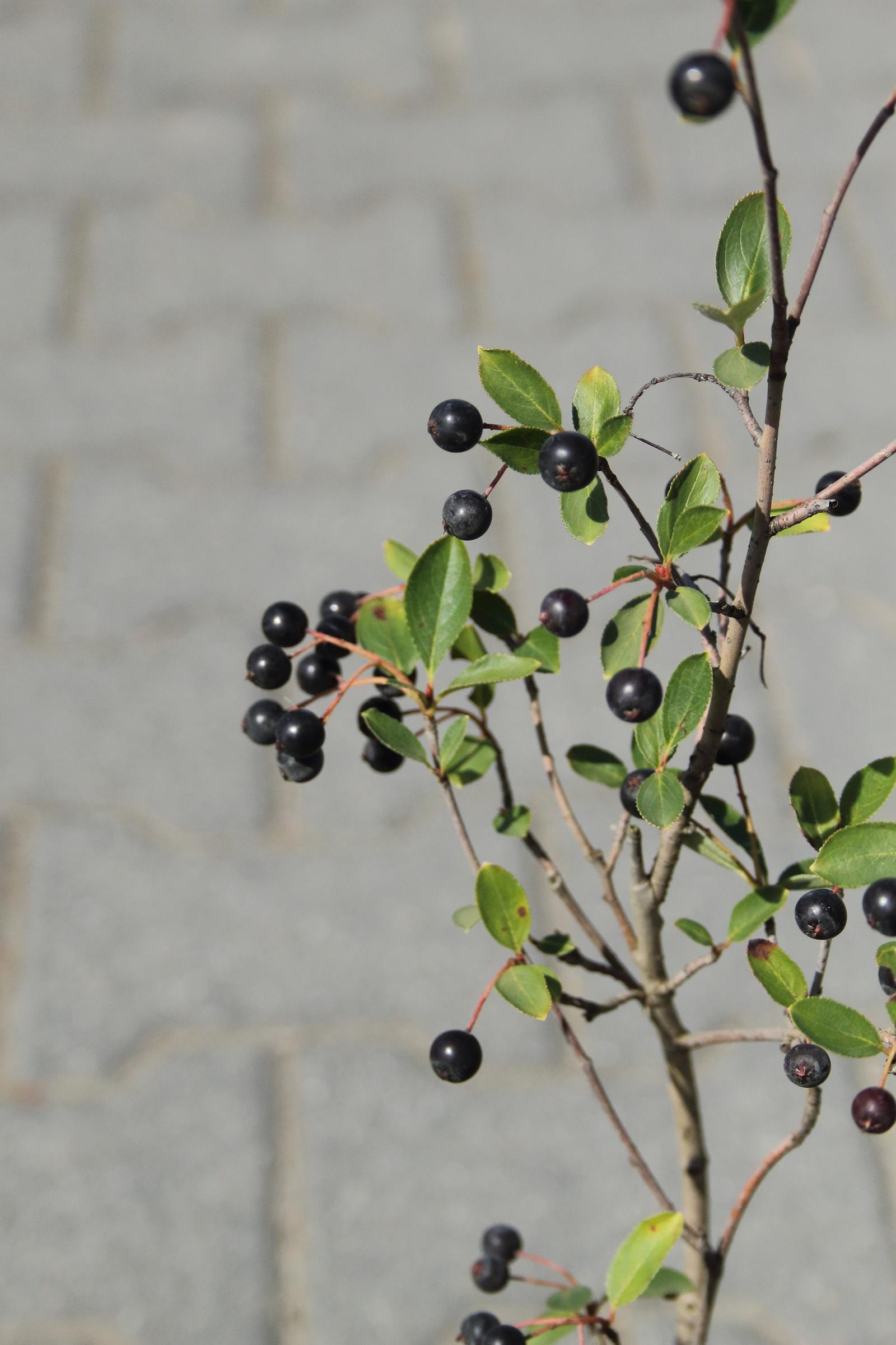 10a73f4c53859a65d21fedcbc6e3f6b5