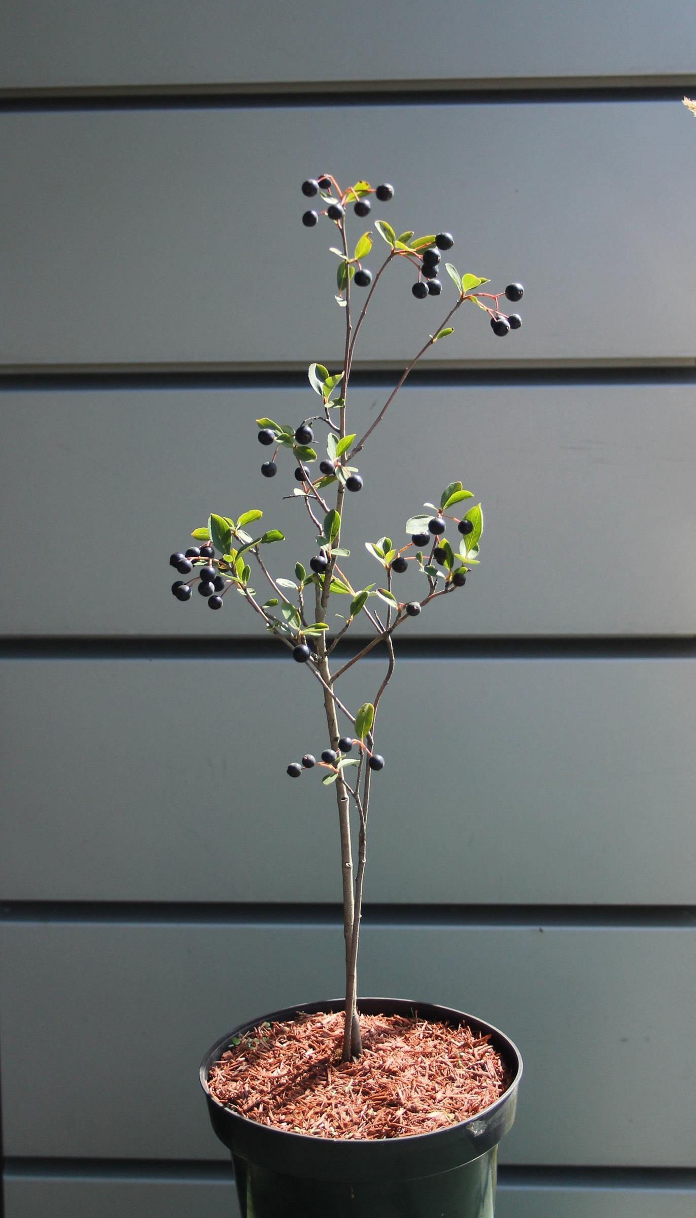 62bdf619253bd0b016428eebec3ea3f4