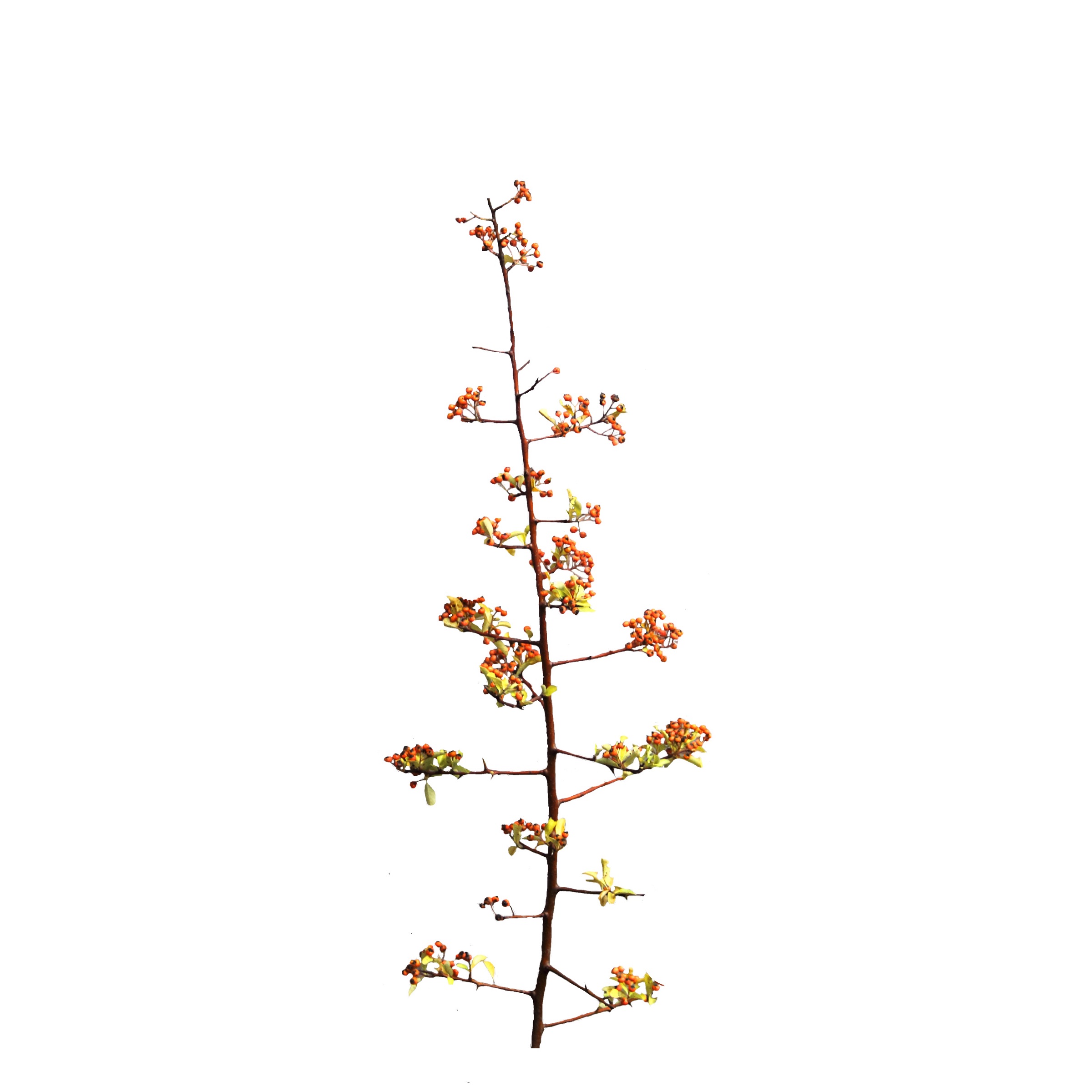 9f5a27af5e3b387bfd01b7f4bb1b47c4