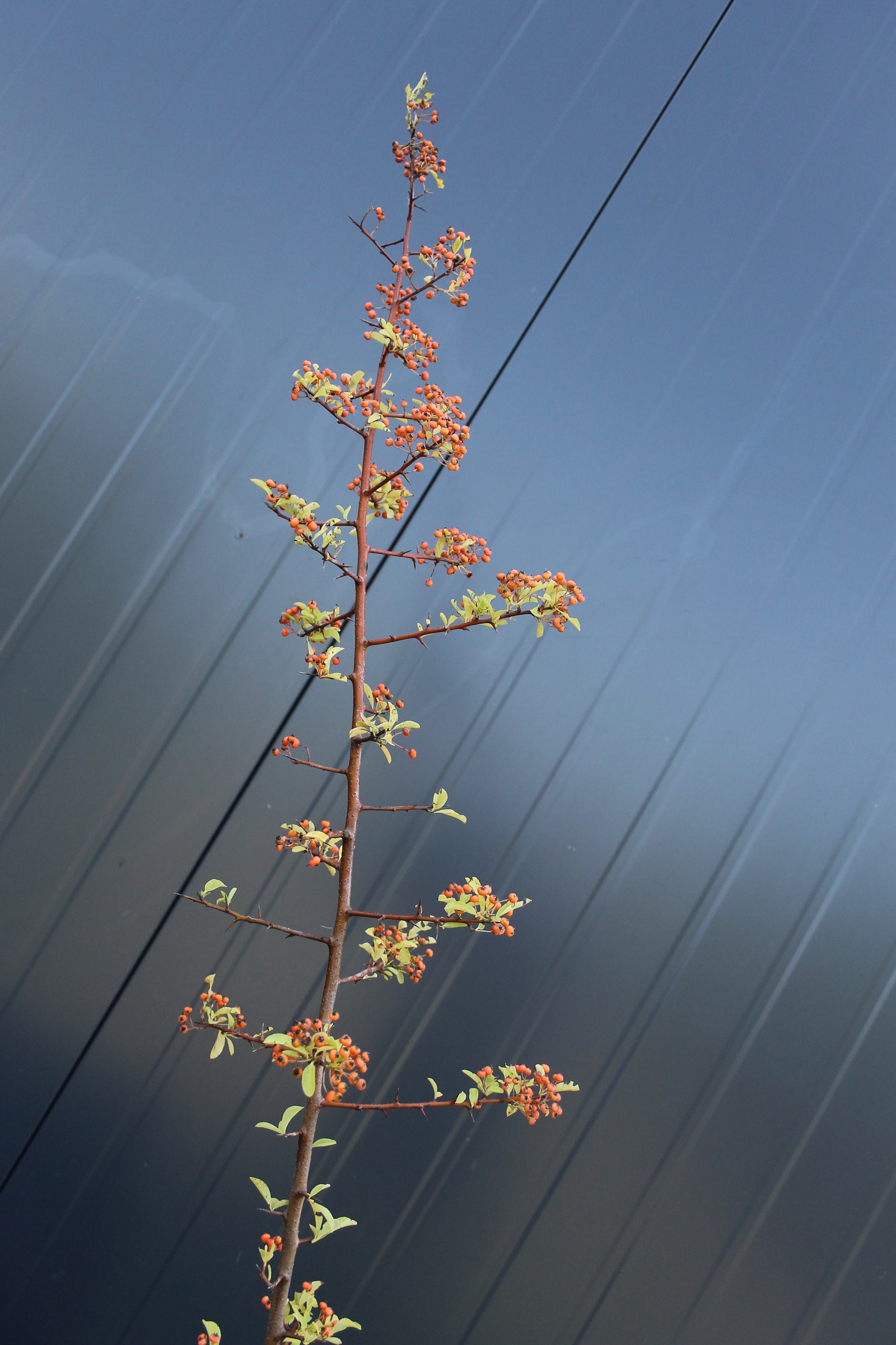 82bf0ffc128371cb81260ba533483c67