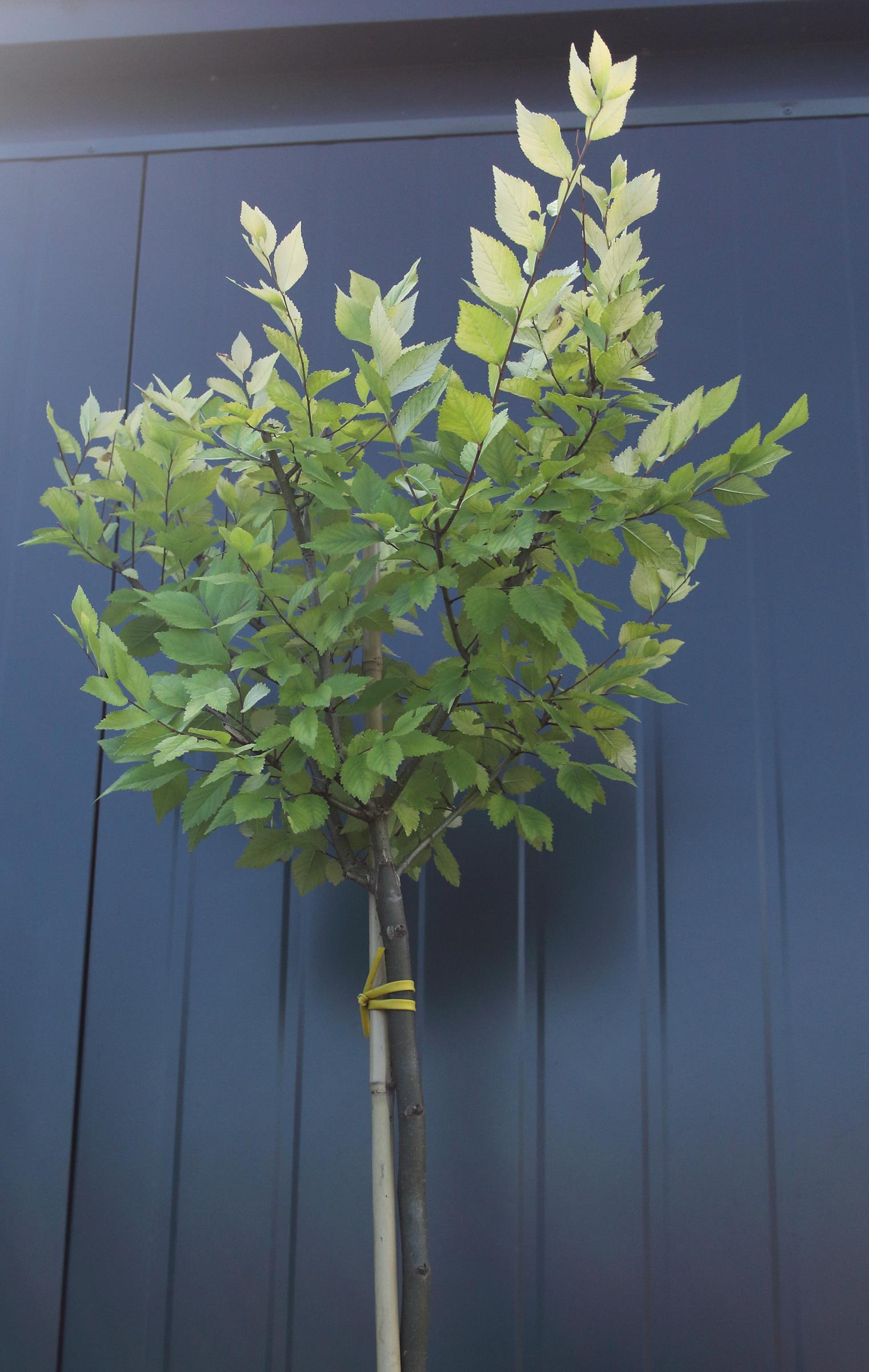 3edf403161d88933fbc5db27860686fe