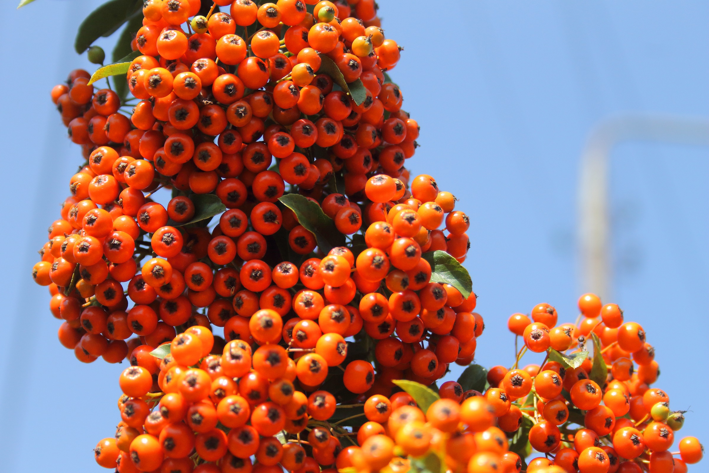 c81575c9c4d46288e17afe16e9ae3ec3