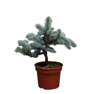 0c3e0d6d77927b3327ad4e4c952eebff