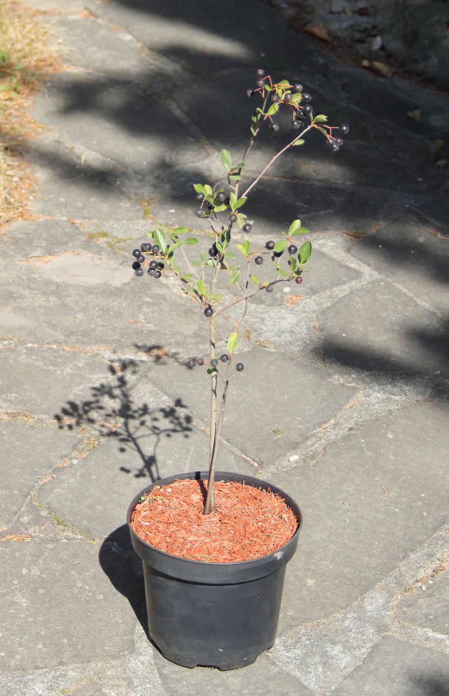 b4e70db4fc47bb355f2356b7e58765cf