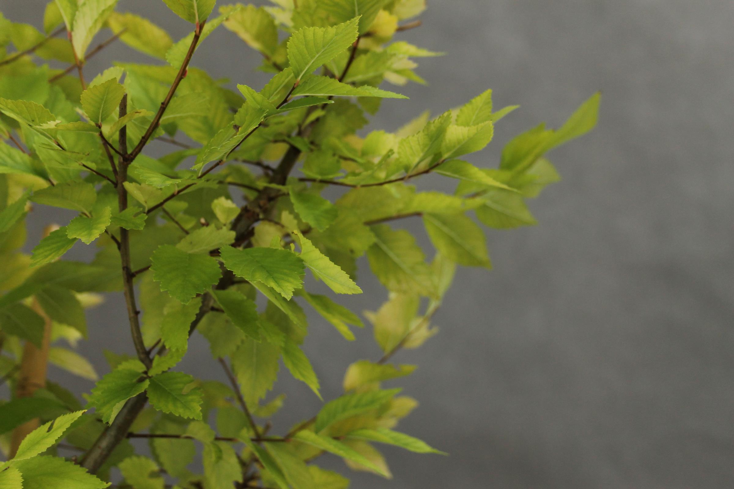 6e092b5f26beb015138e828c36f5b268