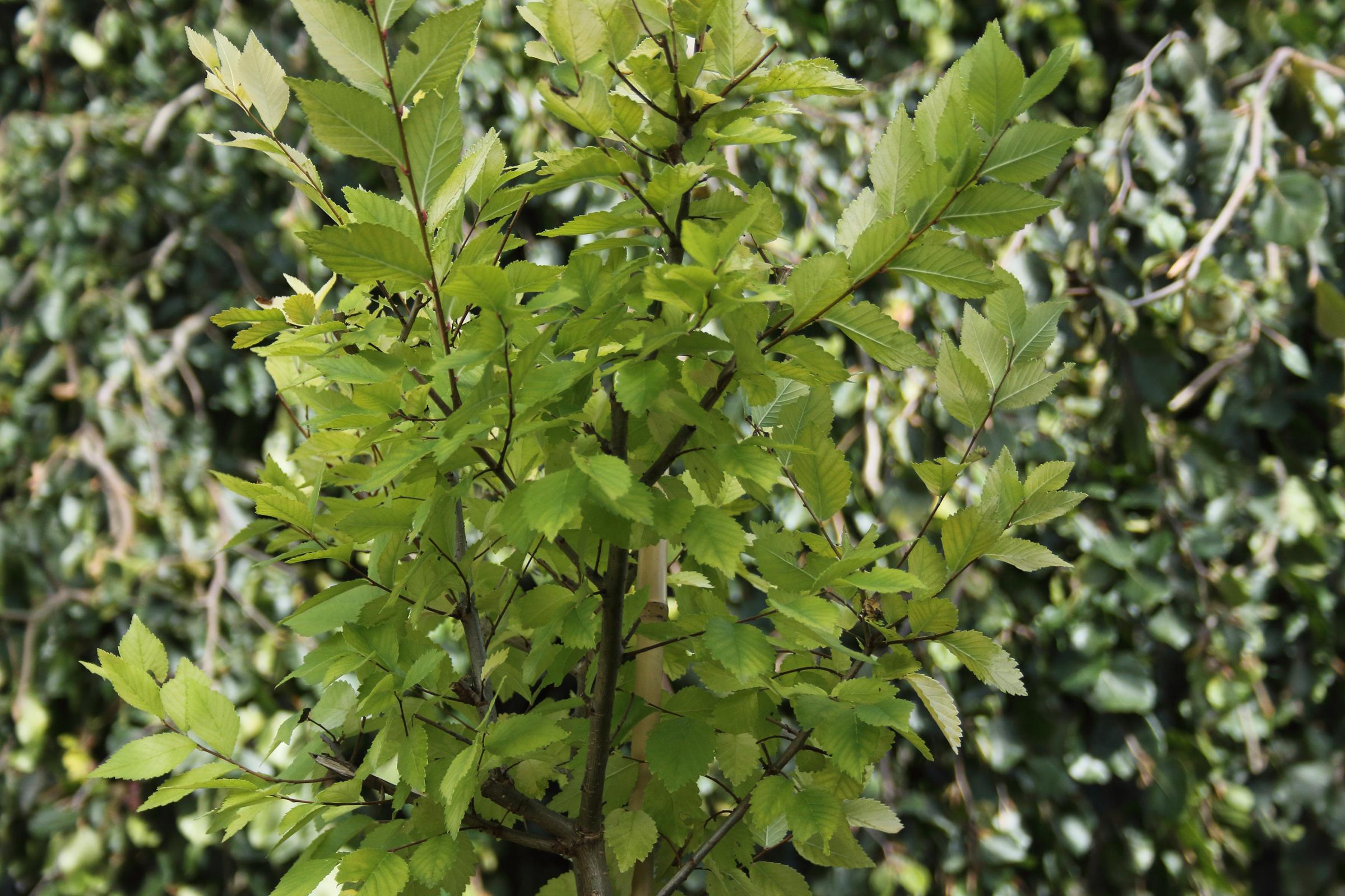 5f51247ab3e0ea3a6d71b4d6873ea922