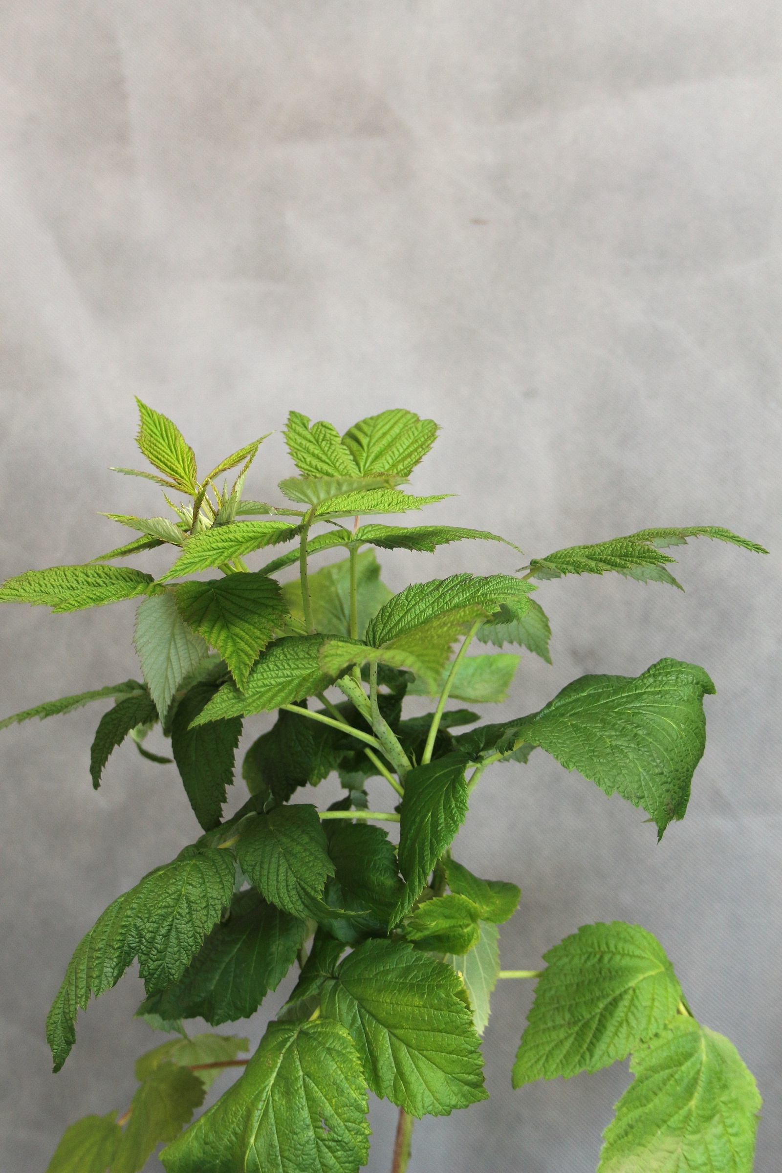 7eb5df5feda006db5bca2b810f881695