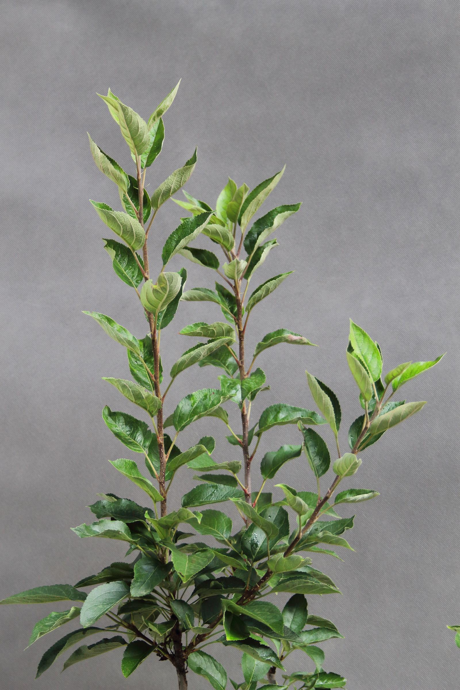 22087a87d0e55f0a11a833a512db5925