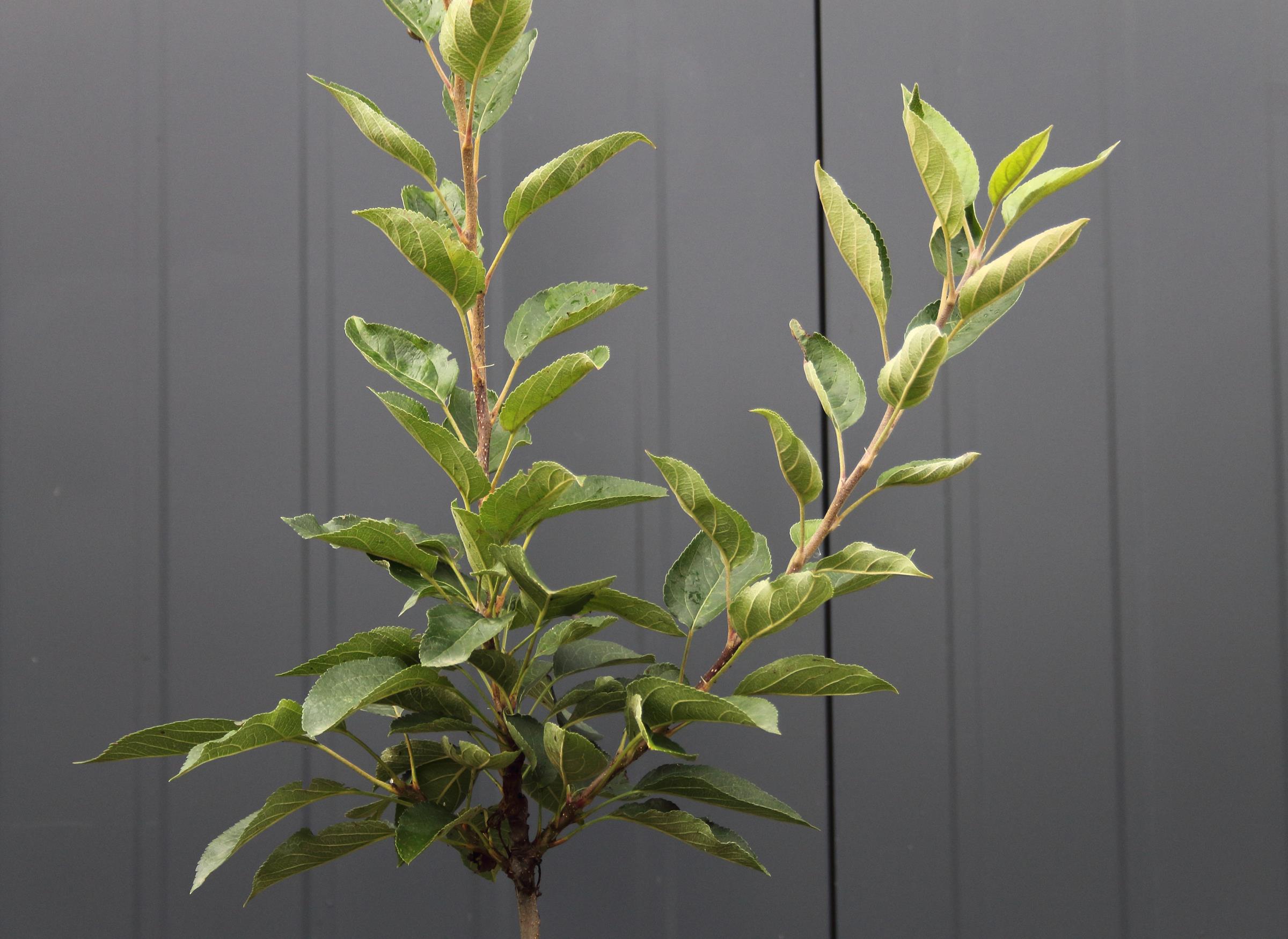 6ef67bf6e4dae7fe280b75058db37b34