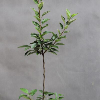 653b2dfc97807f45f310b3df85f872d8