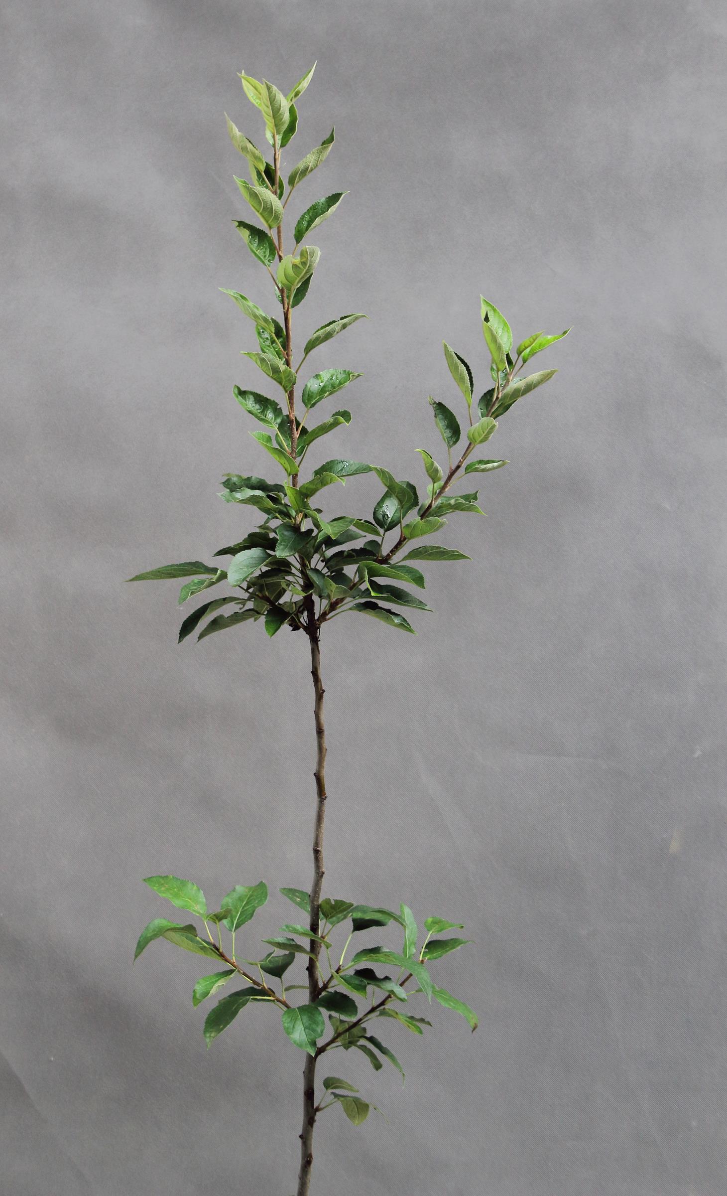 653b2dfc97807f45f310b3df85f872d8