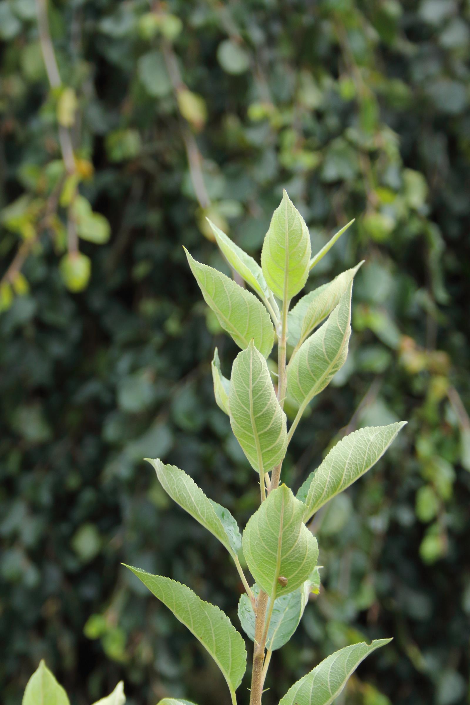 124293abd496d444021907944ed7bf04