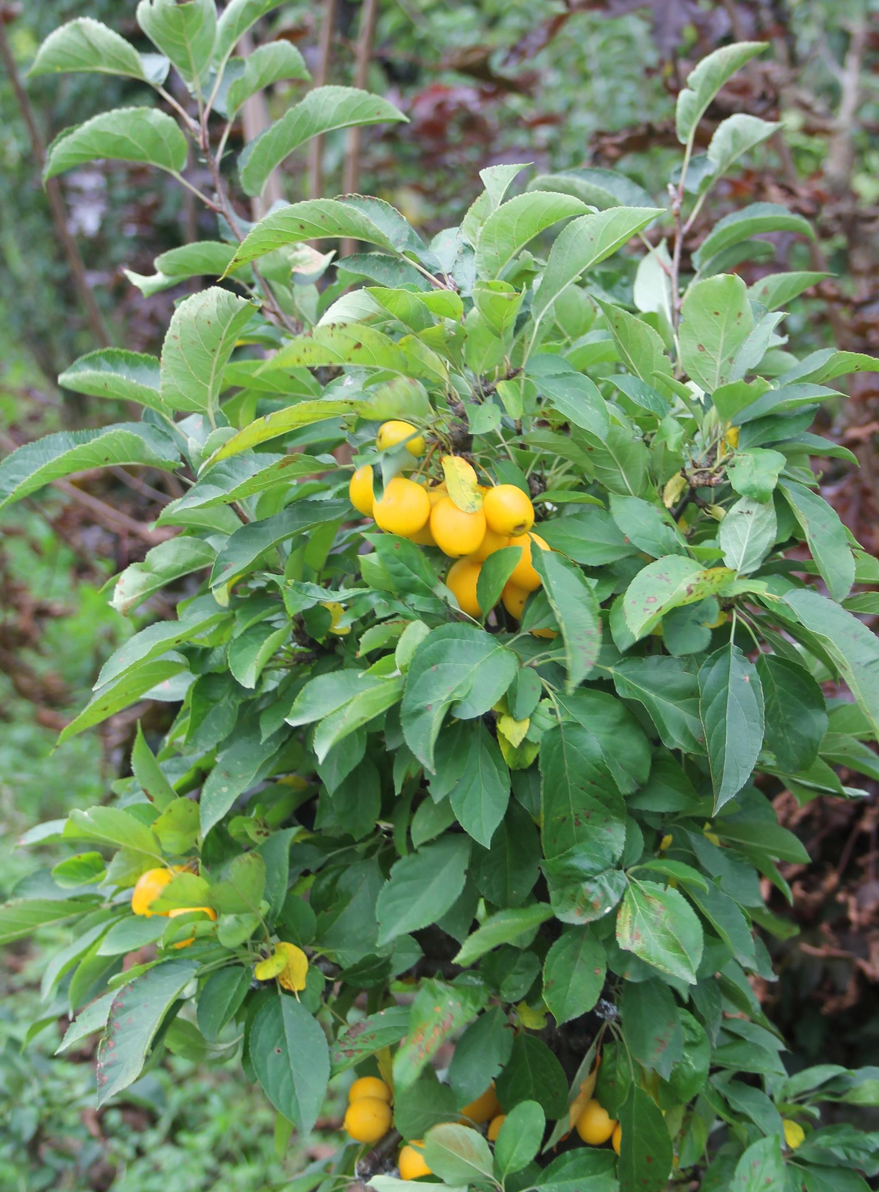 9076d4794515d9cb2f51efb842f36d5d