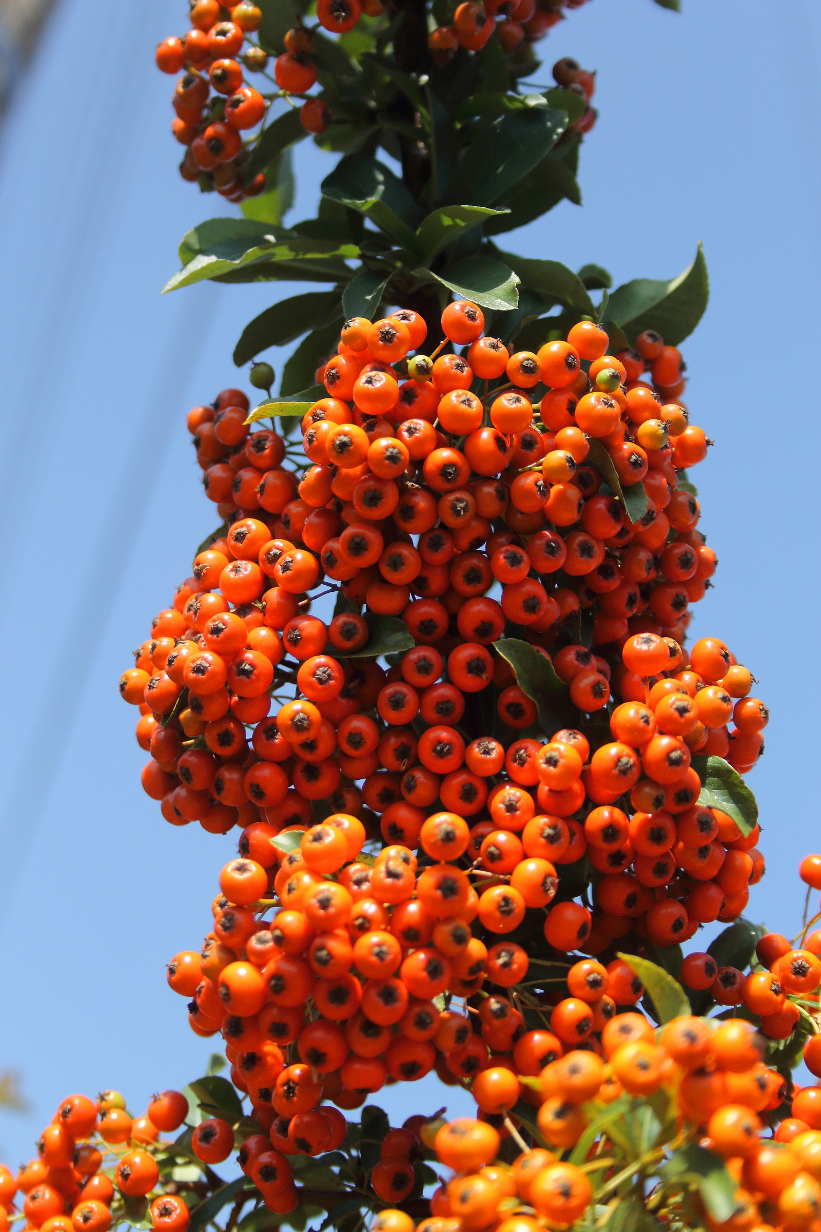 5e8e71d0a4f1b741d6dd17ab57464af8