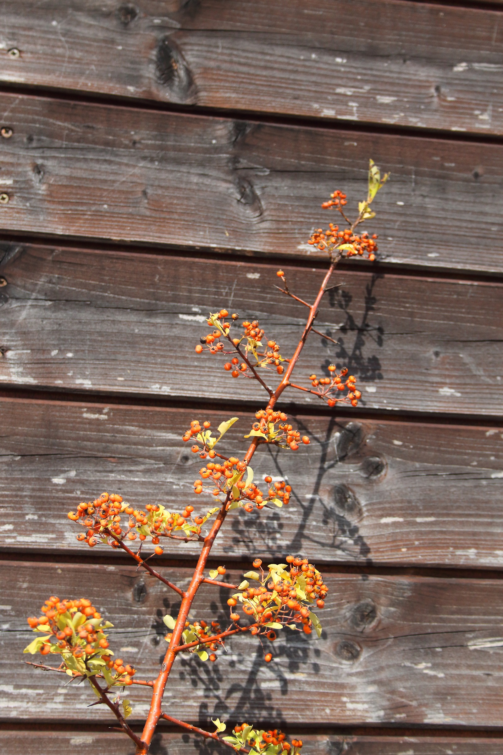 b371ac7410dbc13997bc0c5122f36e35