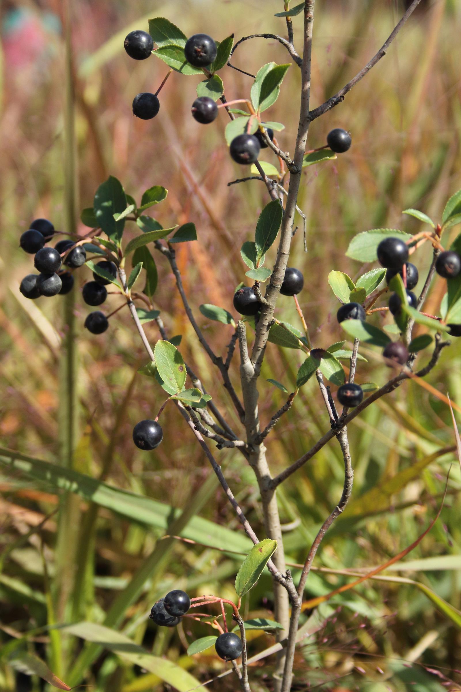 2057d8ffb5cd8104bbc7588abd6753b3