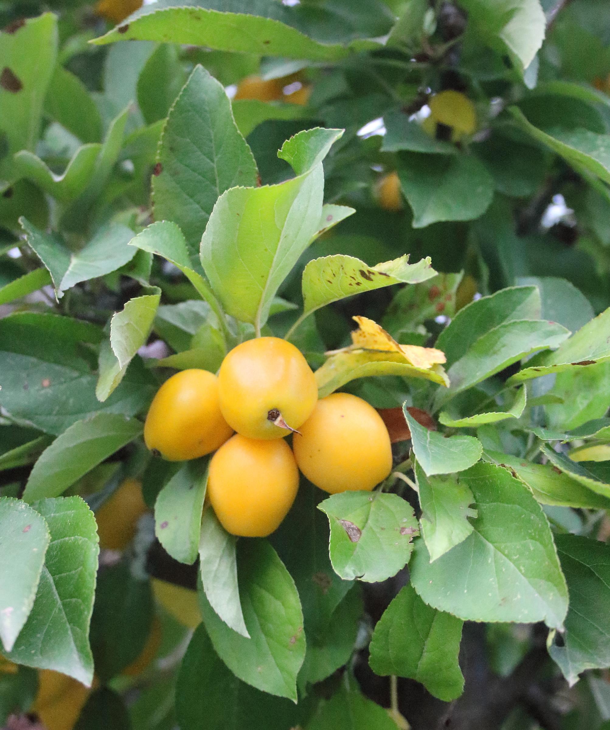 692b6df4a0f61664628e5458ca5ae5ad