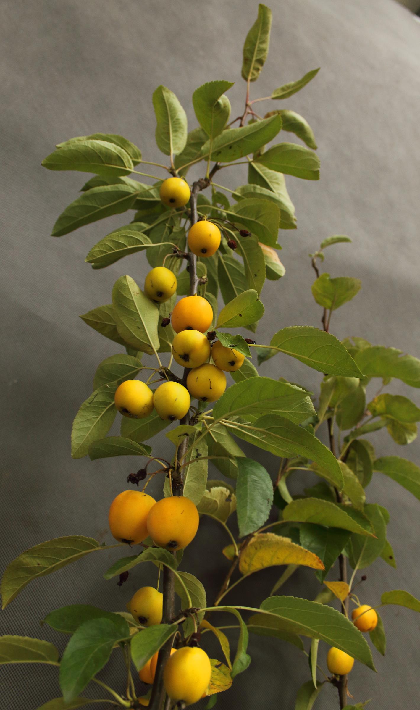 83905690272156b0b9a950ab01cf6bdc