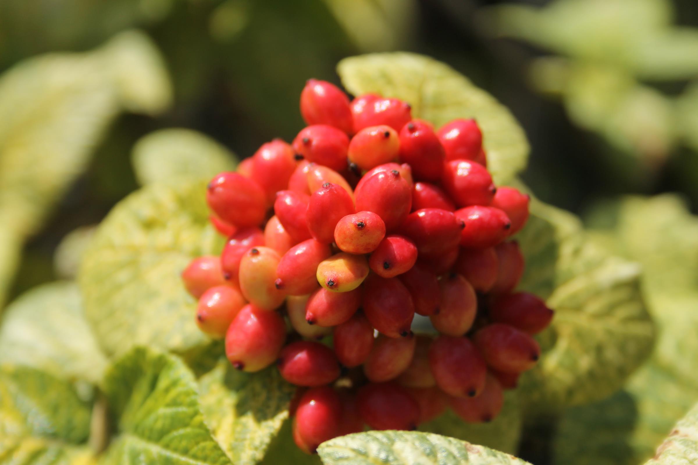 8d0edc7855ec82754d663c80aee78ca3