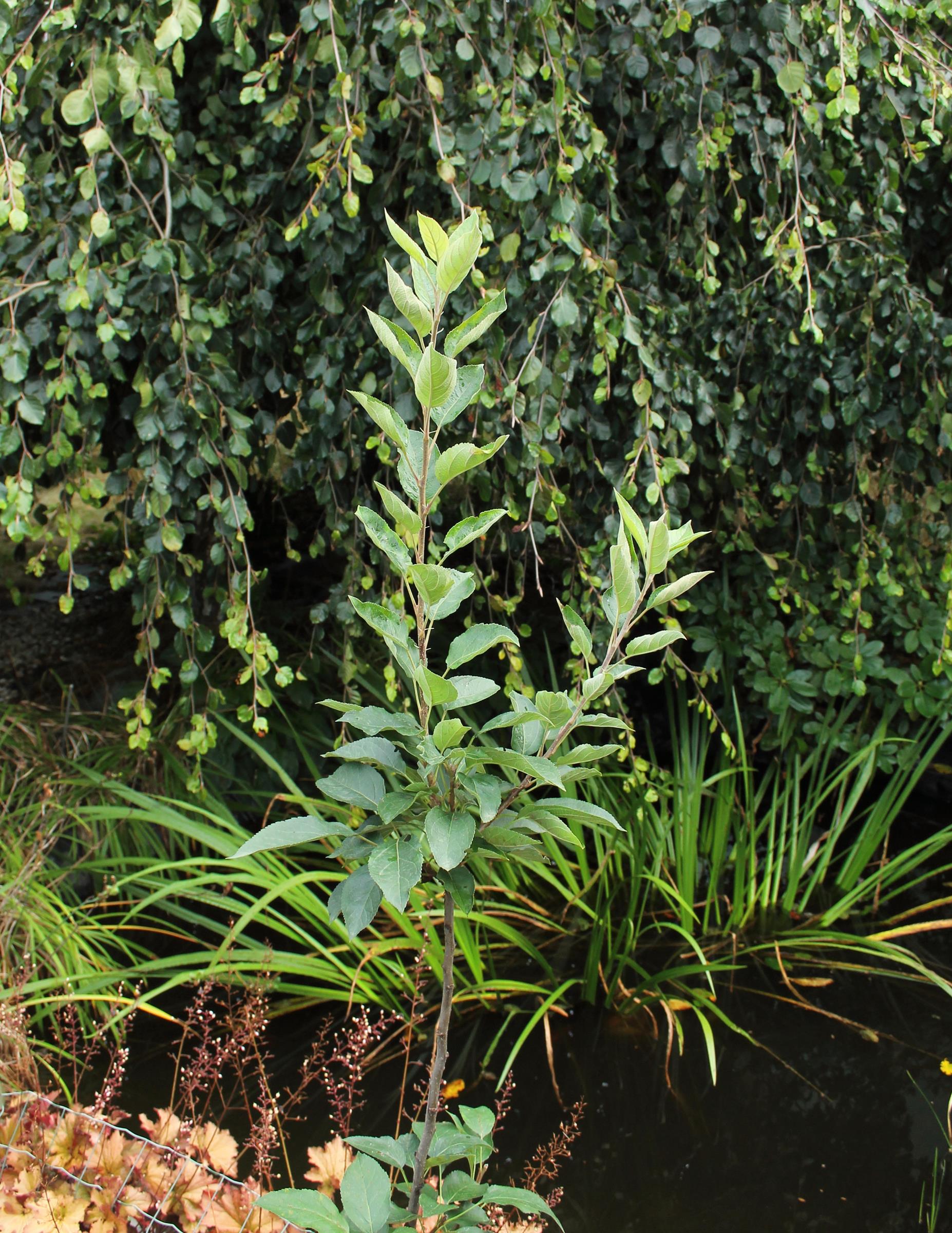 0e287a6b8eba007afbd2b1b98b176120