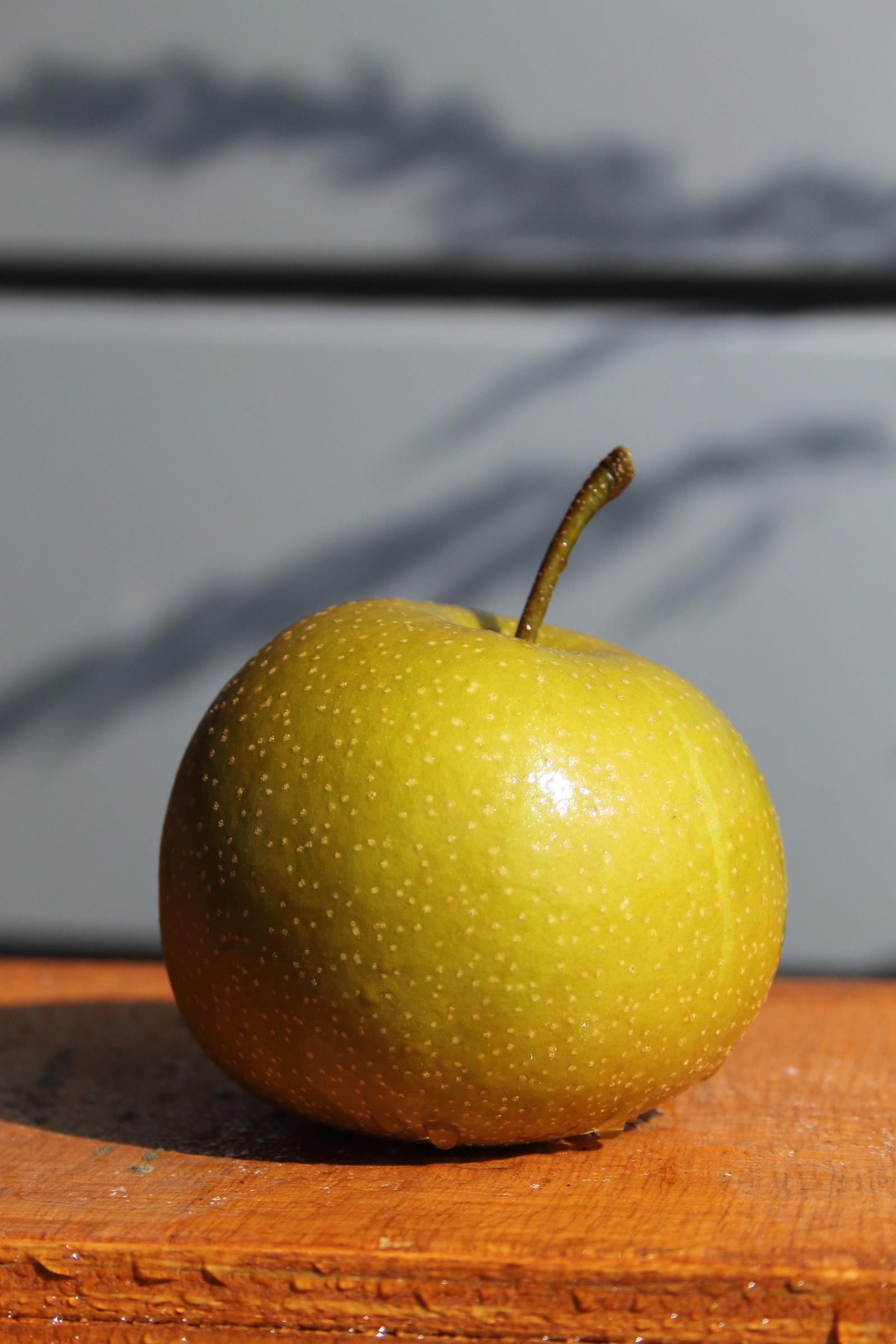 4b332a166626d1a68cd7ec264cb58232