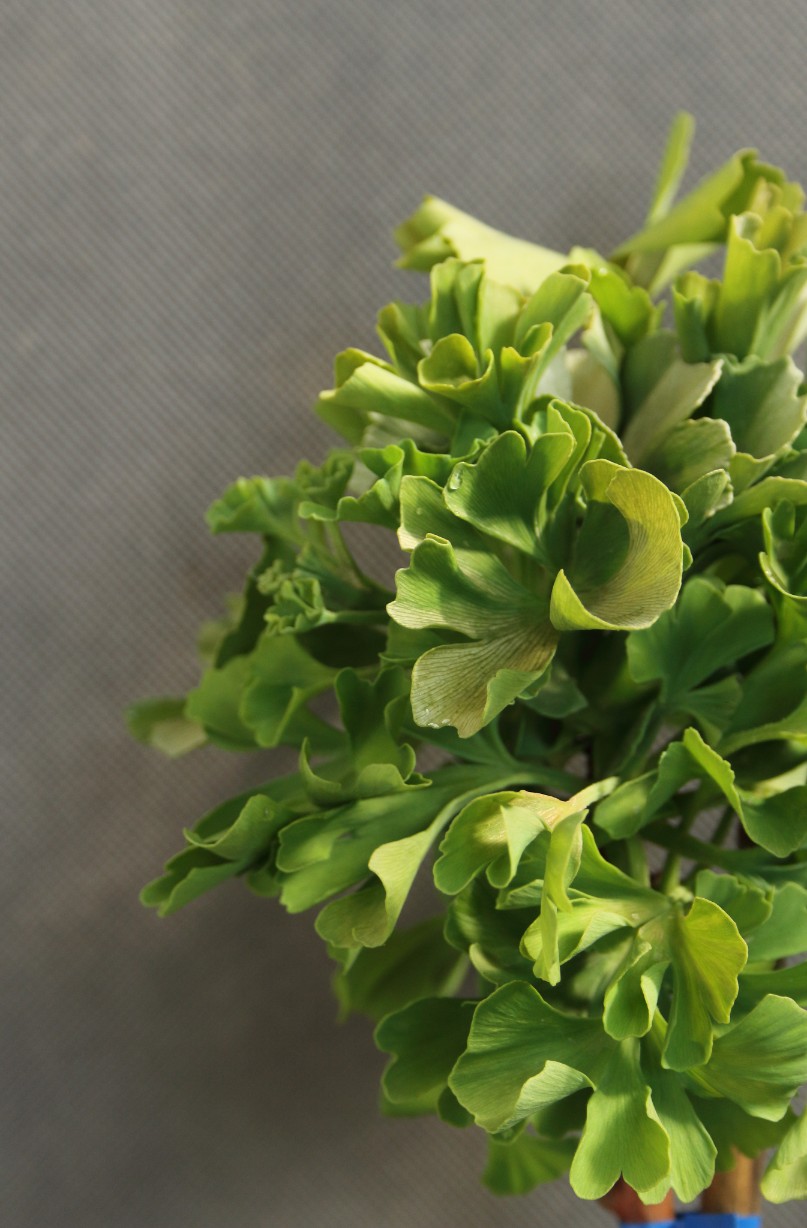 c3ae3654336b57488c407c6176896bd7