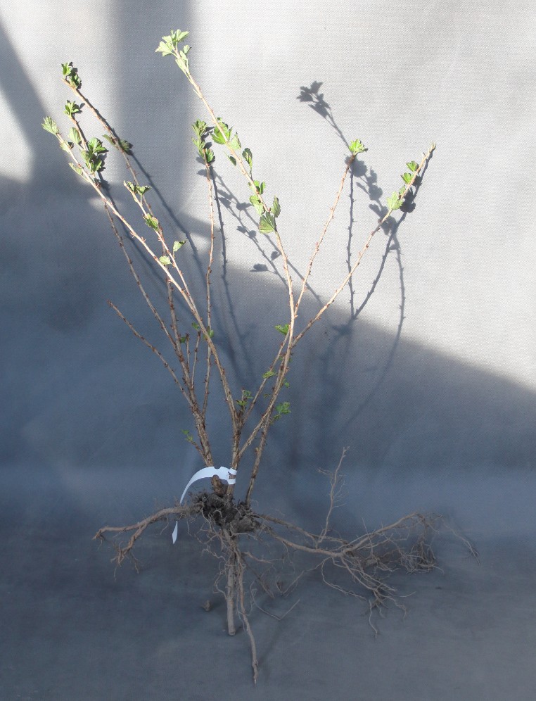 cd2a6fa881cd90abbdfe34f8eb5c6e6d