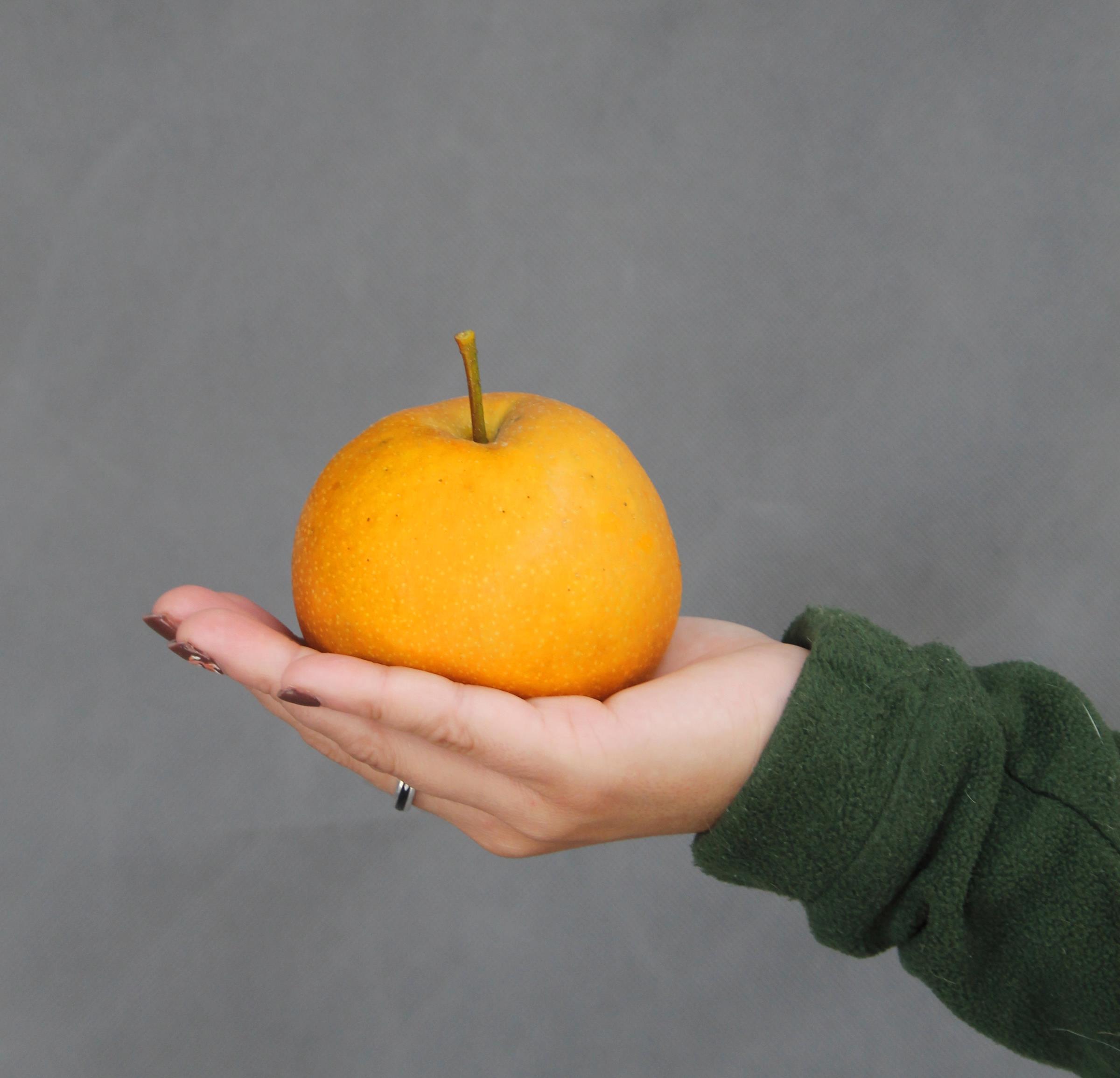 cd30414ff23263c1a281c973ea22709a