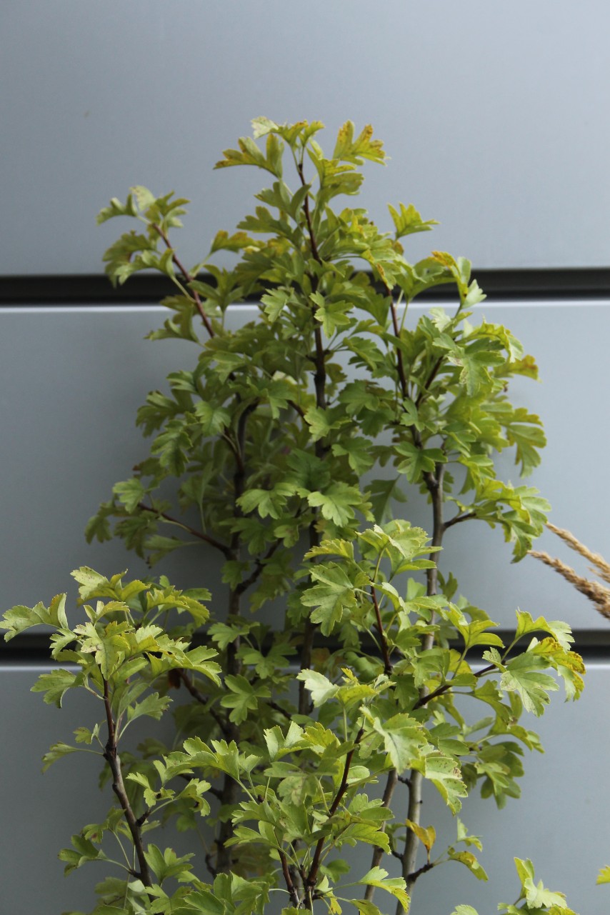 f54ebca8c11b577a9be02a49fd777a6f