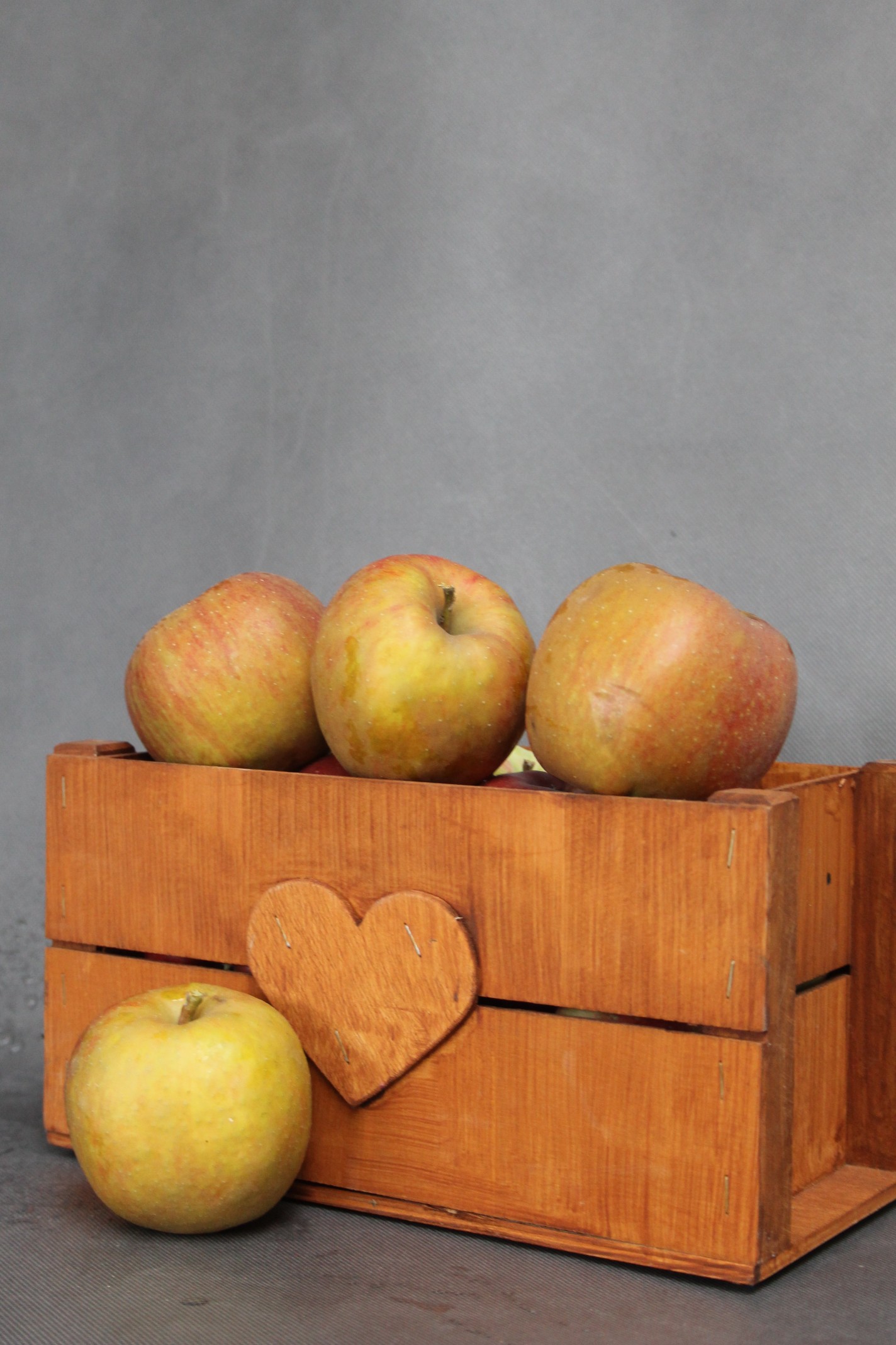 a1e226b1e835df98802d0dcf31a5e457