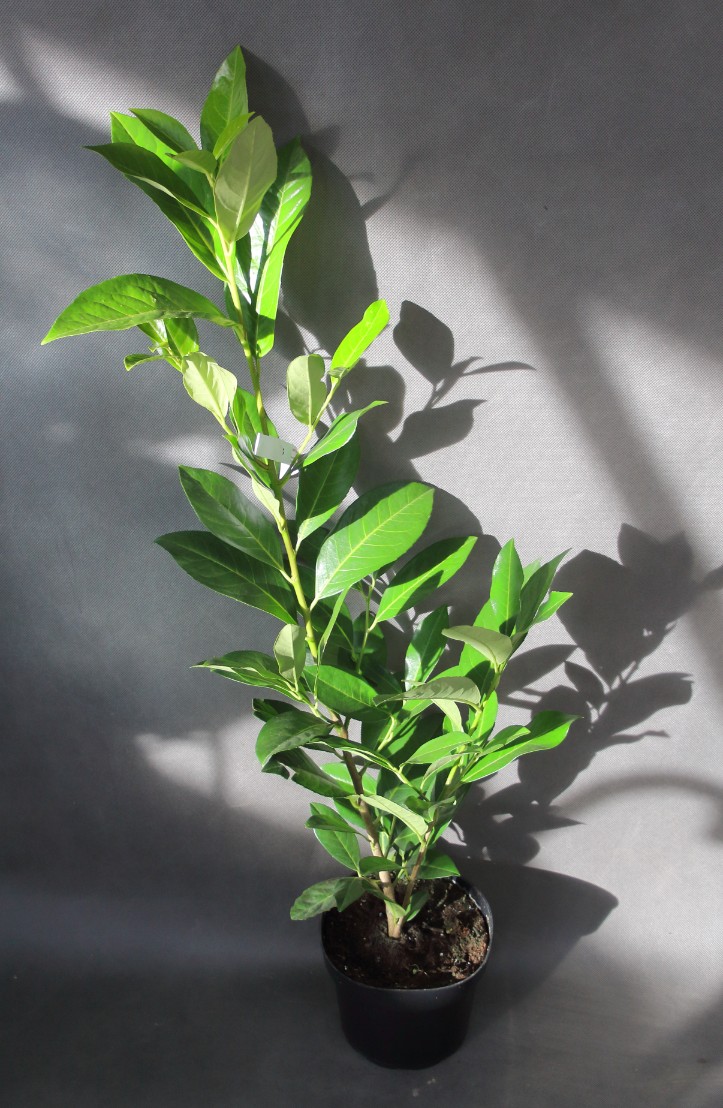 7568dd6b4c8906c34c163358e7be108c