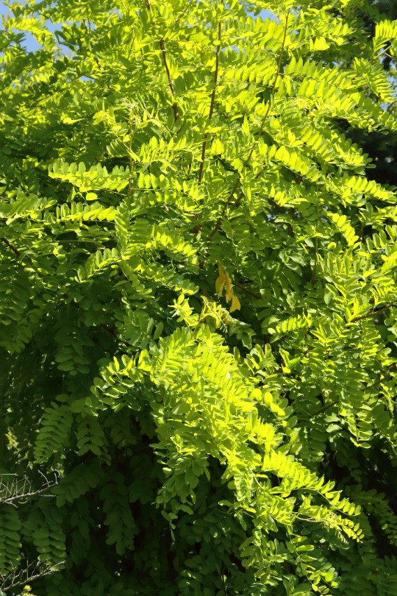 8dabce986976b3855c1bd0545ac37ae6