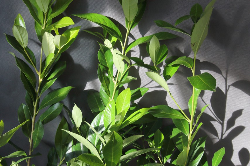 22e9661c6256fce7aef9080bdd5e282a