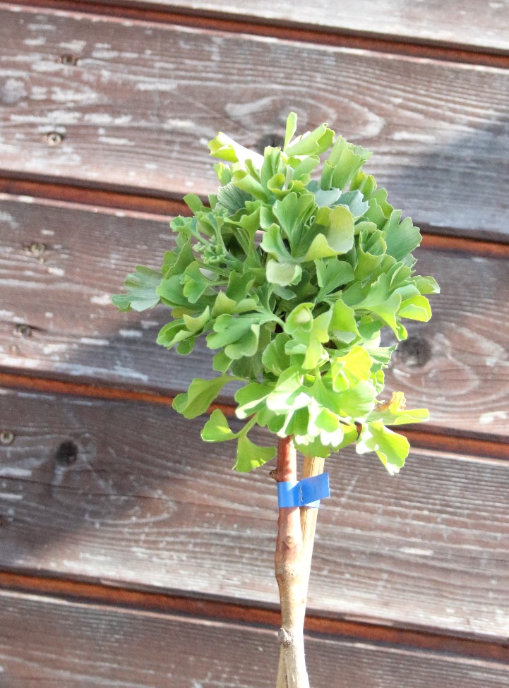 0a8d750274e7cd94096bf15632f74b18