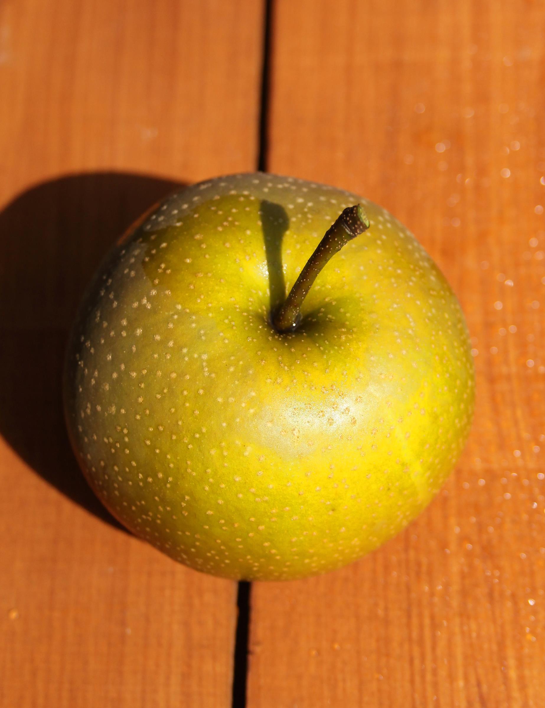 367a139257d74c848c4bdddbbee7918f